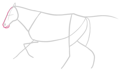 Как нарисовать лошадь 2