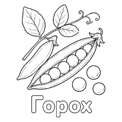 Раскраска Горох