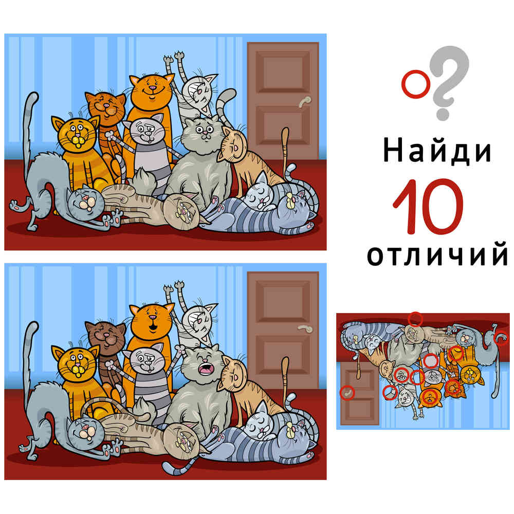 Найди 10 отличий: Коты