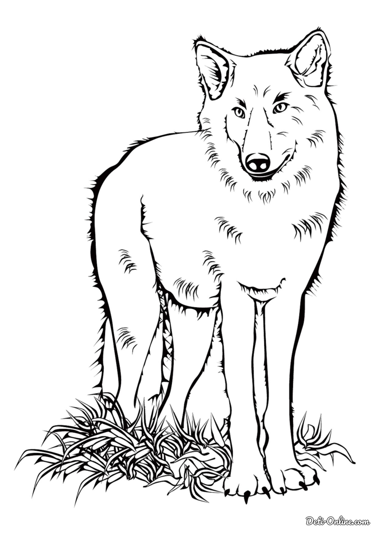 Волк в лесу – сложные раскраски: 7 разукрашек