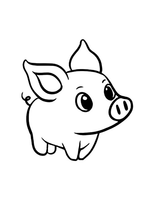 Раскраска Свинья - символ 2019