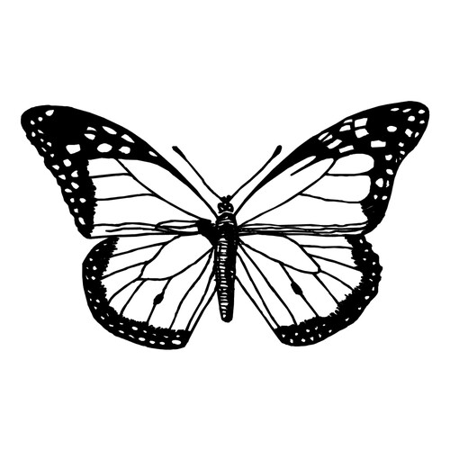 Раскраска Уставшая бабочка