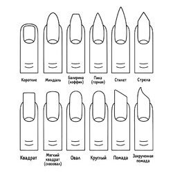 Много форм ногтей