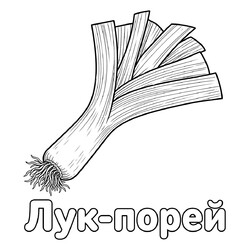 Раскраска Лук-порей