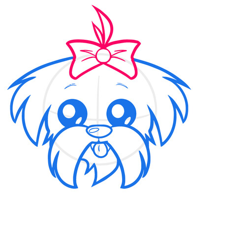Как нарисовать собаку Ши-тцу 4