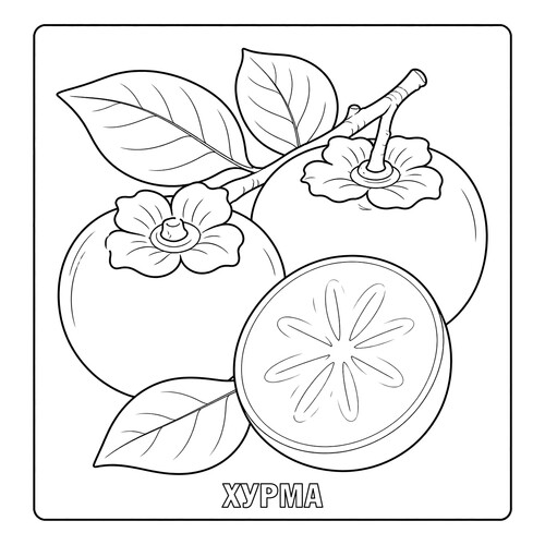 Раскраска Хурма
