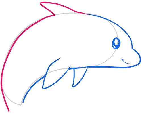 Как нарисовать дельфина 5