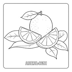 Раскраска Апельсин