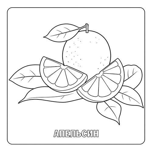 Раскраска Апельсин