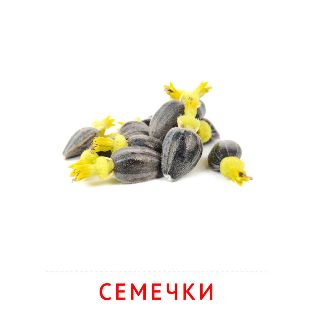 Семечки: карточка Домана | скачать или распечатать