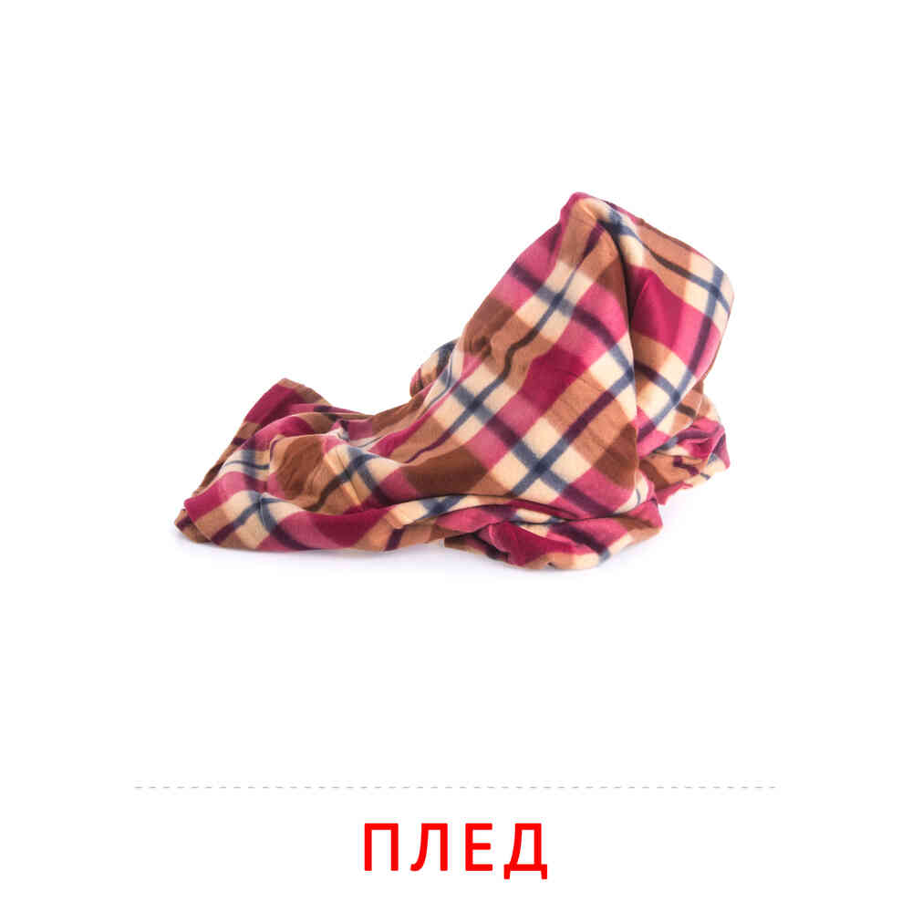 Плед: карточка Домана | скачать или распечатать
