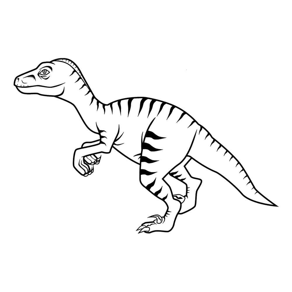 Распечатать Раскраски Велоцераптор - 67 фото