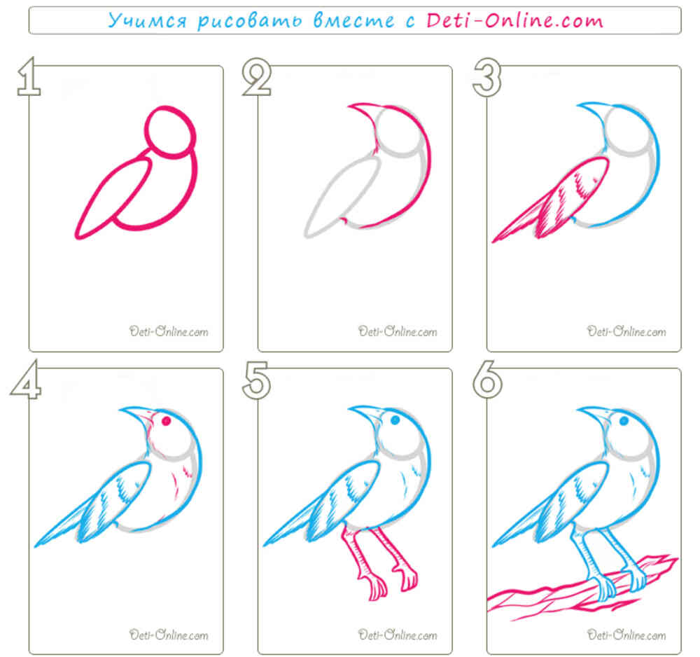 Рисунок птицы поэтапно. Поэтапное рисование соловья. Как нарисовать соловья. Соловей рисунок поэтапно. Как нарисовать Салов я.