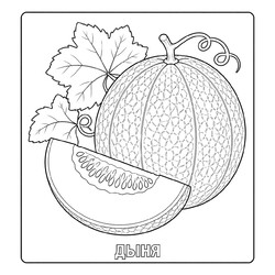 Раскраска Дыня
