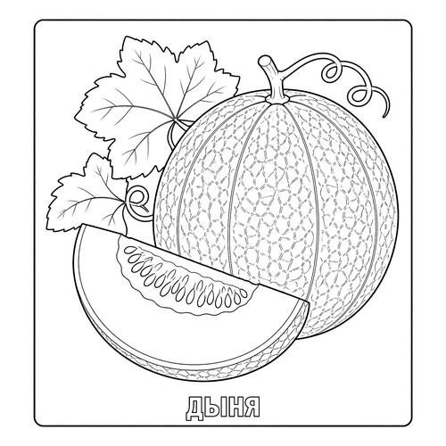 Раскраска Дыня