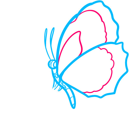 Как нарисовать бабочку на цветке 4