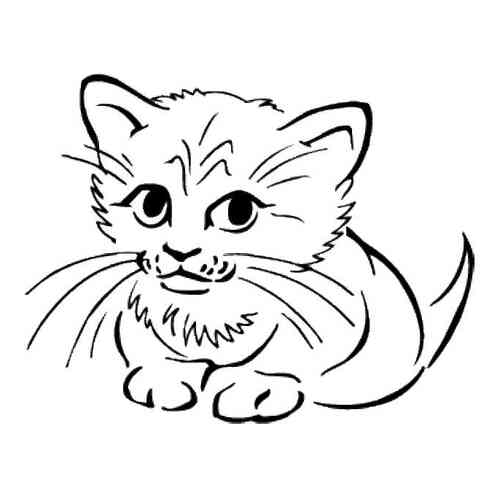 Картинки кошка для детей распечатать Раскраски кота, кошки, котят