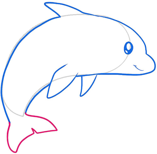 Как нарисовать дельфина 6