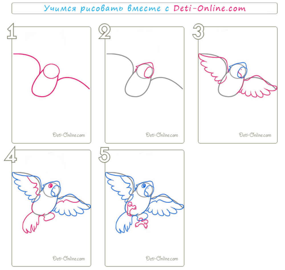 Как научиться рисовать попугая поэтапно