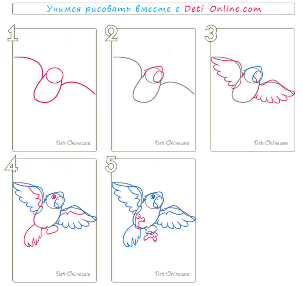 Попугай рисовать поэтапно для детей