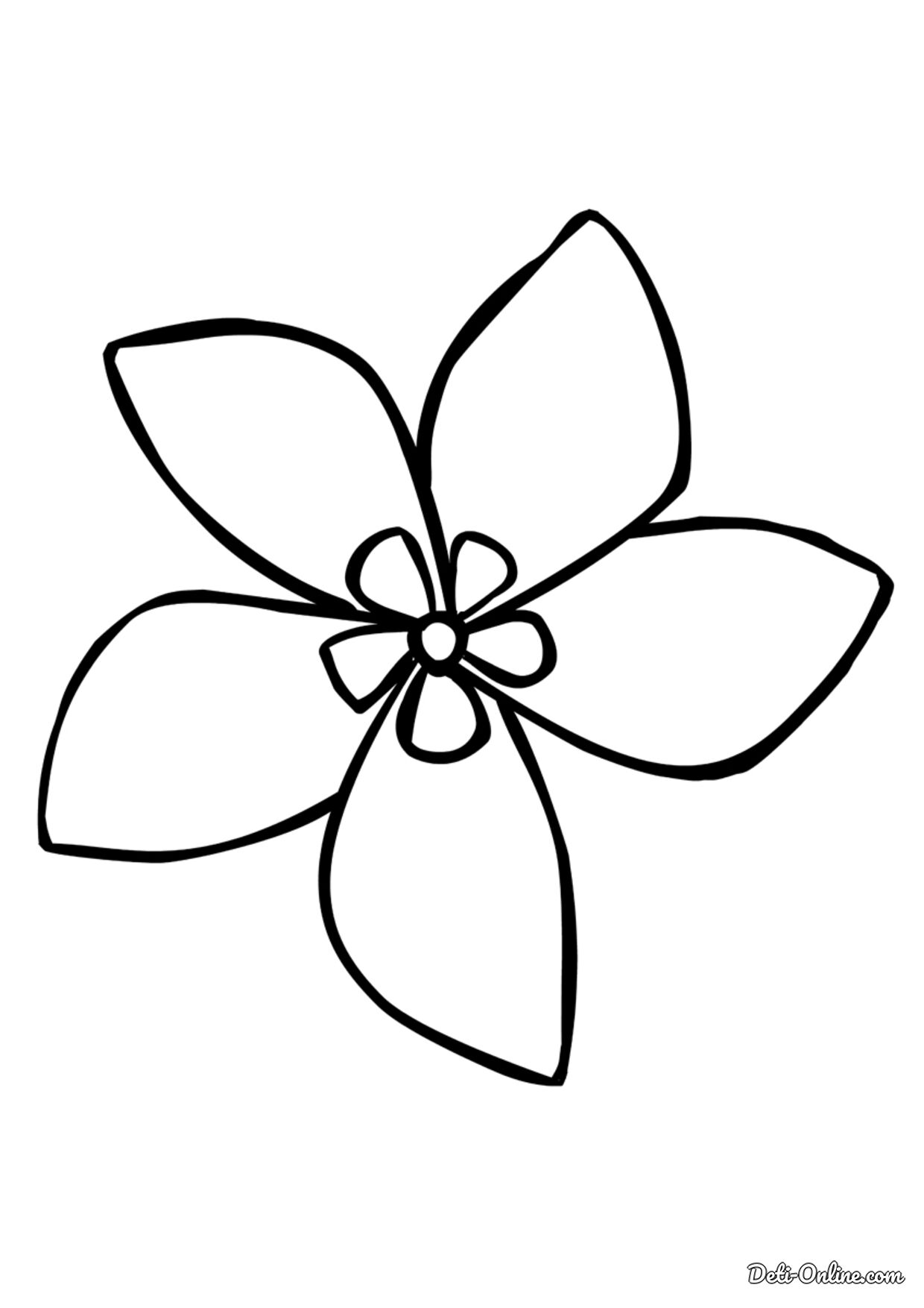 Раскраска Цветок жасмин распечатать или скачать