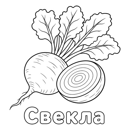 Раскраска Свекла