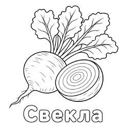 Раскраска Свекла