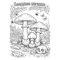 Раскраска Несъедобные грибы - поганки