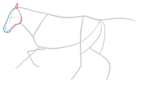 Как нарисовать лошадь 3
