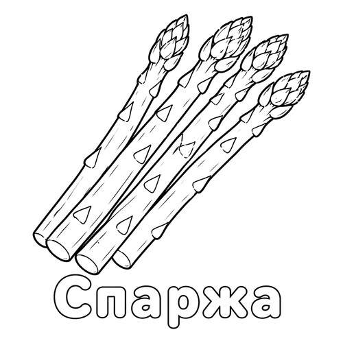 Раскраска Спаржа