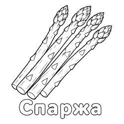 Раскраска Спаржа