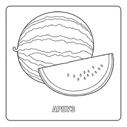 Раскраска Арбуз