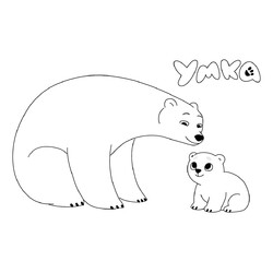 Полярные медведи Умка и мама
