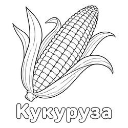 Раскраска Кукуруза