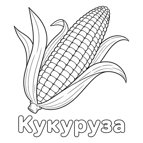 Раскраска Кукуруза