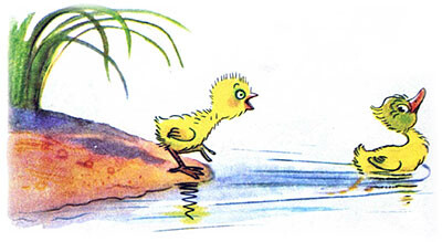 Цыпленок и утенок (иллюстрация 9)