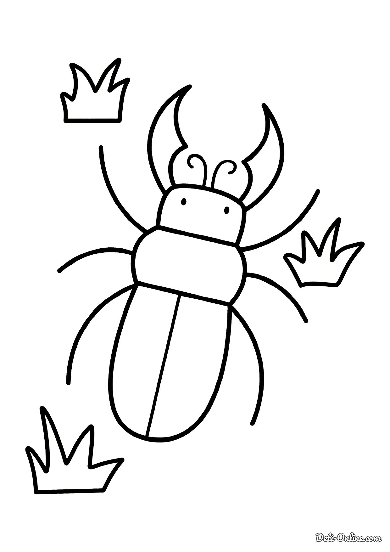 Лучшие идеи () доски «Жуки» | жуки, насекомые, членистоногие