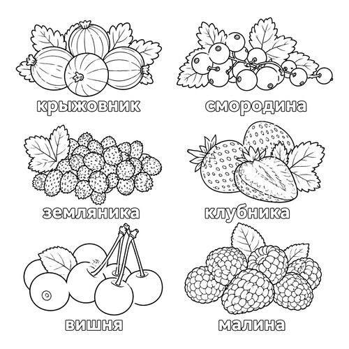Раскраска Садовые ягоды с названиями