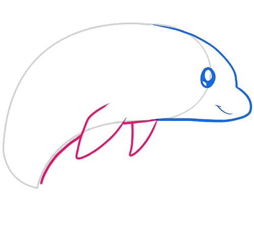Как нарисовать дельфина 4