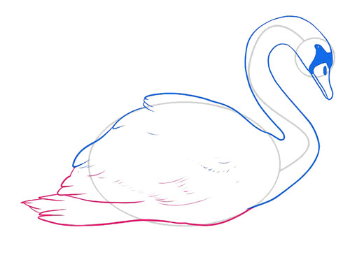 Как нарисовать лебедя 7