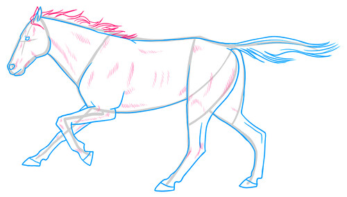 Как нарисовать лошадь 8