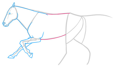 Как нарисовать лошадь 6