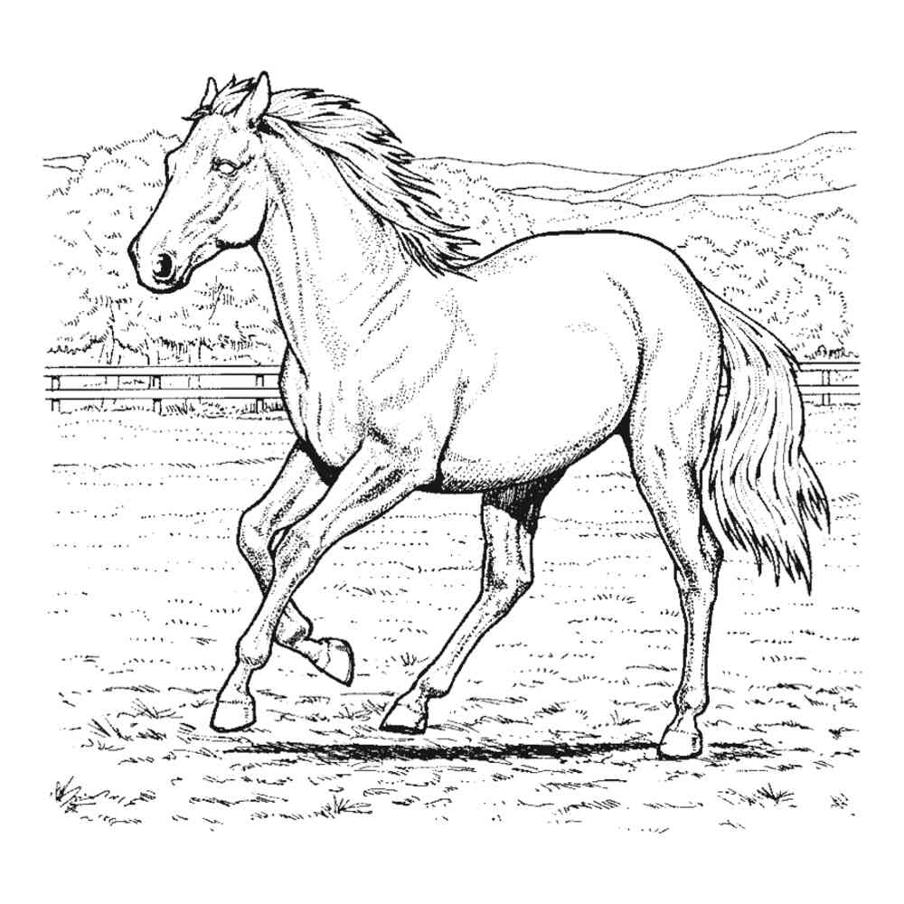 Бегущая лошадь раскраска