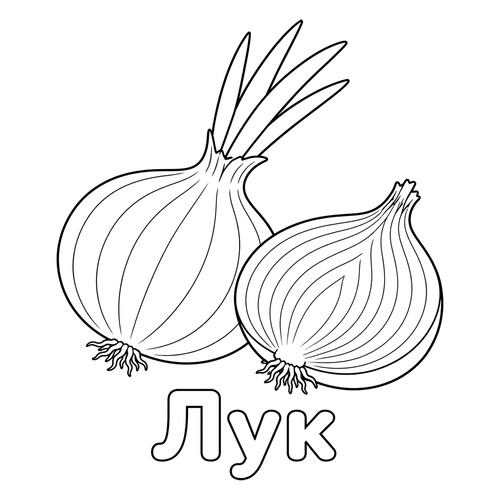 Раскраска Лук