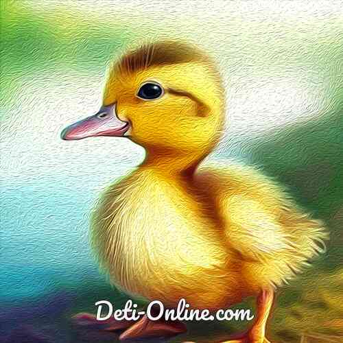 Храбрый утёнок | слушать, рассказ Б. Житкова