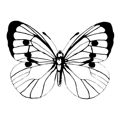 Лёгкая бабочка
