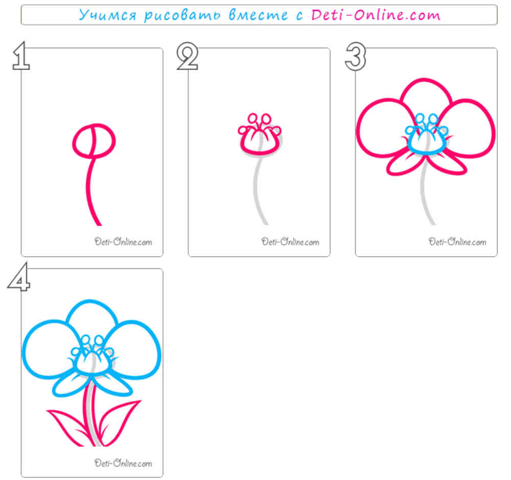 Орхидея рисунок для детей поэтапно