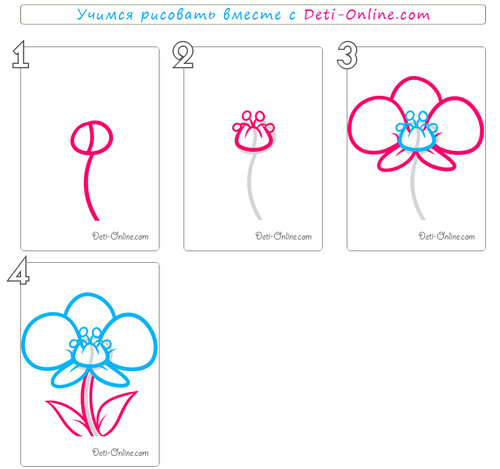 Как нарисовать орхидею