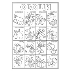 Раскраска Большой набор овощей