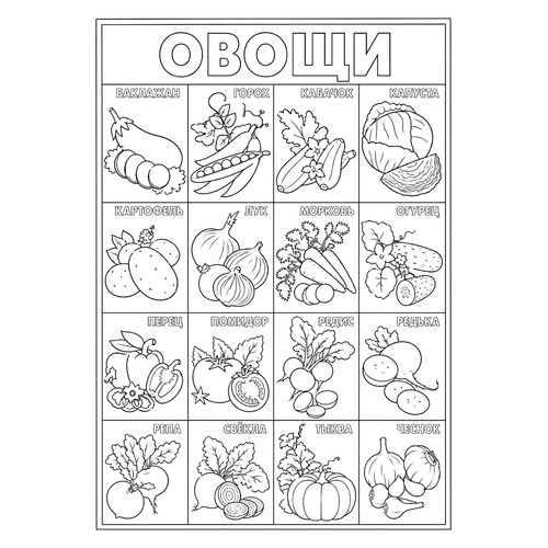 Раскраска Большой набор овощей